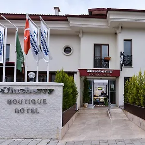 4* Hotel Blueberry Boutique